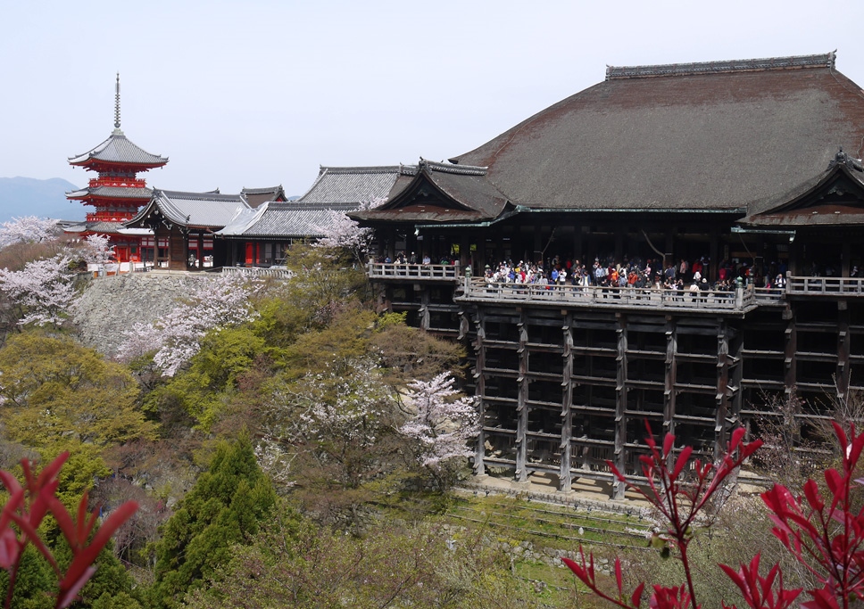 舞台は桜満開の京都、清水寺 | スタッフのひとりごと - りゅーとぴあ 